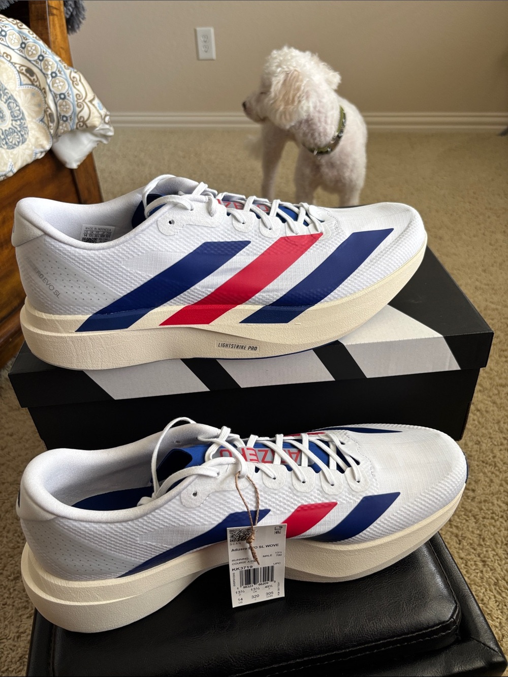 adidas Adizero Evo SL Woven